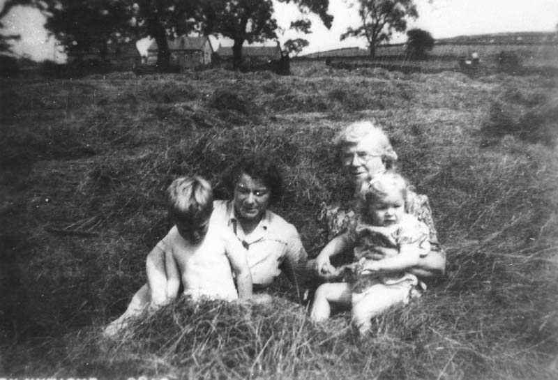 Hayfield at Sowcar Farm
