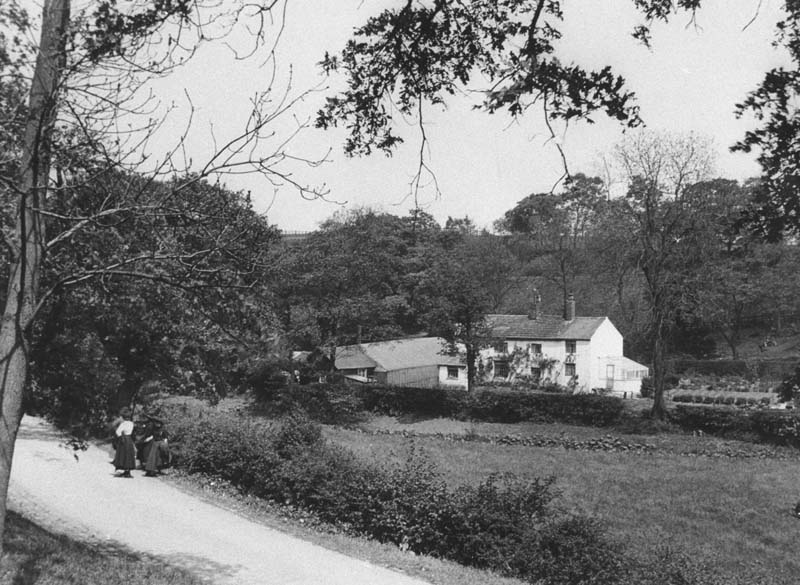 Middlewood Tea Rooms