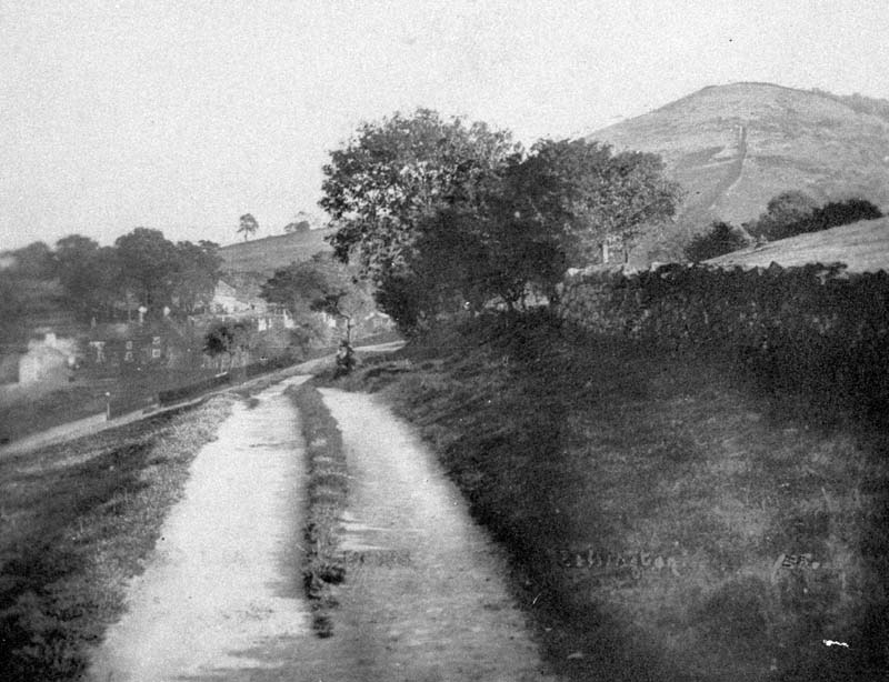 Red Lion fields