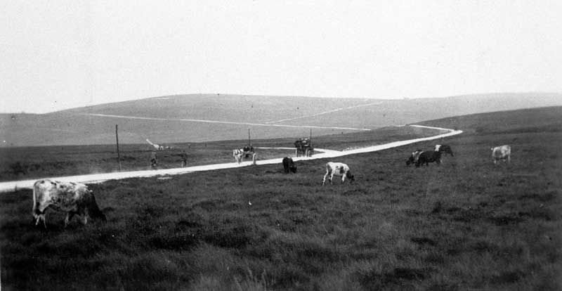 Moorland