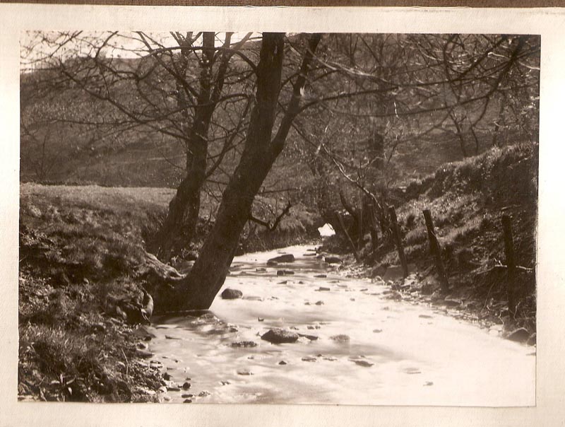 Mill Brook Mill, Rainow