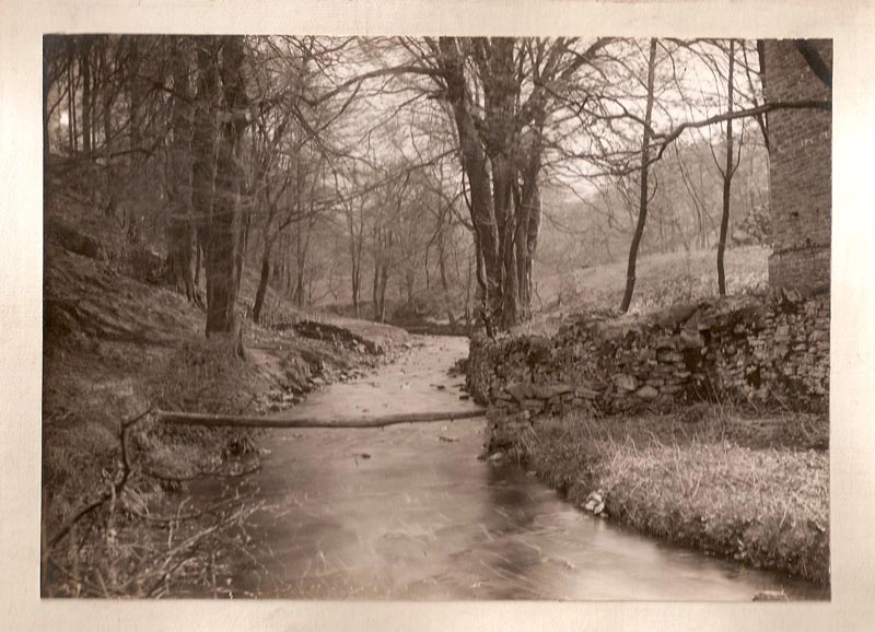 Mill Brook Mill, Rainow