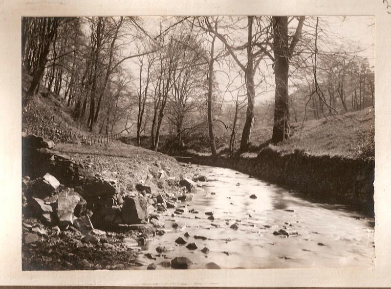 Mill Brook Mill, Rainow