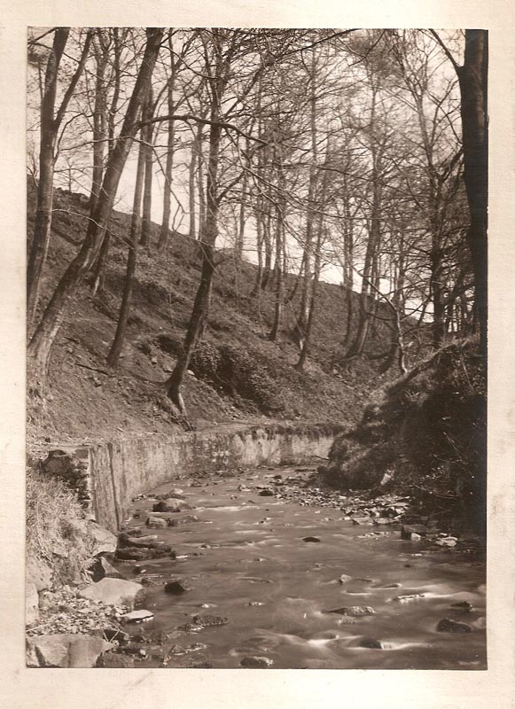 Mill Brook Mill, Rainow